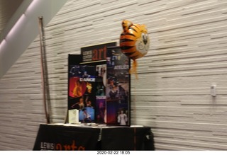 Princeton University Alumni Day