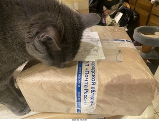 my tapes in the  box