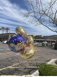 NH2T 5K Kangoo race - Heather Wonder Woman