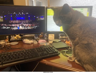 Olga Helga and my cat Devin