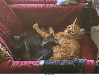 Argentina - San Juan - shopping for chairs