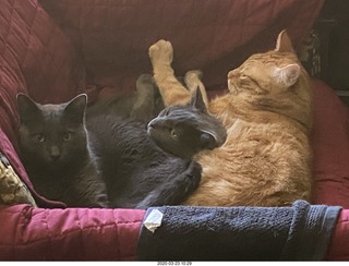 Philadelphia Orchestra - Mendelssohn piano concerto