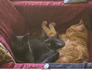 Philadelphia Orchestra - Mendelssohn piano concerto