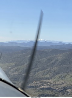 my three-cat fleshpile on my desk
