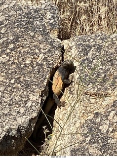 Jerome's aerial picture - Safford prison