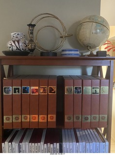 boxes of new tapes and a record and a cat