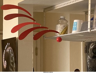 my house - fern picture, red mobile