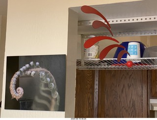 my house - fern picture, red mobile