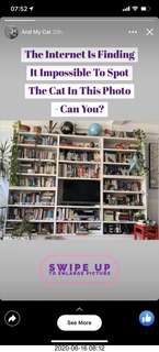 Gila monster on Pinnacle Peak trail