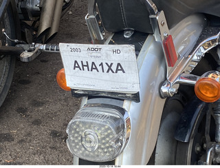 Mesa Arts - Harp-Guitar duo - HARP license plate