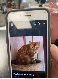 Page Airport - Pilatus