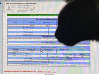 my cats Max and Devin or Jane