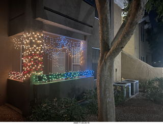 Anthony and Olga Christmas lights