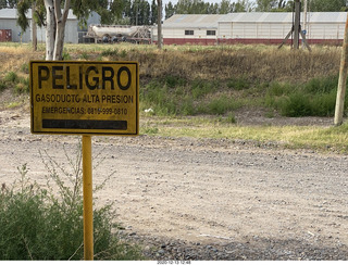 35 a0y. Neuquen morning run PELIGRO sign