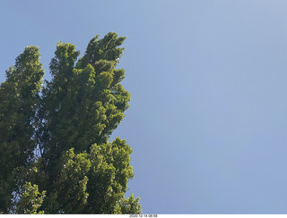 11 a0y. Argentina Eclipse Day