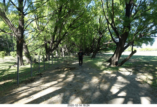 93 a0y. Argentina Eclipse Day - Adam running