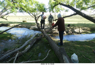 118 a0y. Argentina Eclipse Day - folks crossing the creek on a log