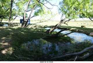 119 a0y. Argentina Eclipse Day - creek