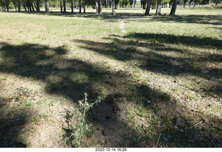 128 a0y. Argentina Eclipse Day - eclipse site run