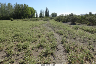 132 a0y. Argentina Eclipse Day - eclipse site run