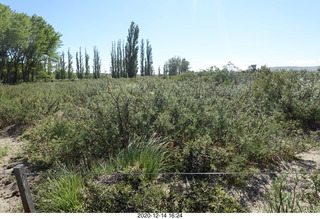 134 a0y. Argentina Eclipse Day - eclipse site run