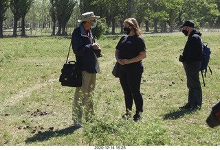 159 a0y. Argentina Eclipse Day