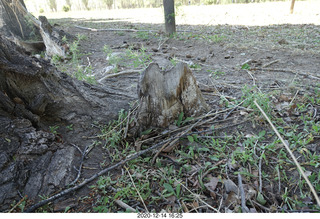 165 a0y. Argentina Eclipse Day - wood version of Temple of the Sun