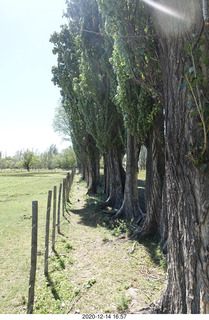 167 a0y. Argentina Eclipse Day