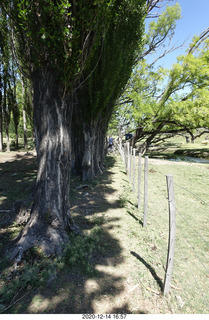 168 a0y. Argentina Eclipse Day