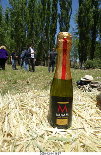 190 a0y. Argentina Eclipse Day - post-eclipse champagne