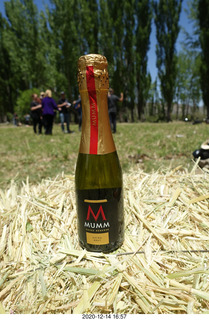 191 a0y. Argentina Eclipse Day - post-eclipse champagne
