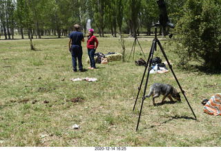 224 a0y. Argentina Eclipse Day