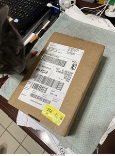 860 a0z. my cat Devin and my iPhone 12 ProMax