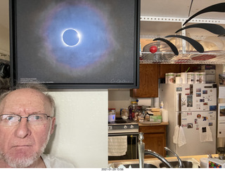 cats sleeping with Max head upside down