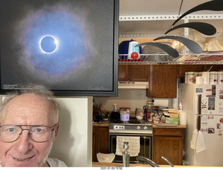 cats sleeping with Max head upside down