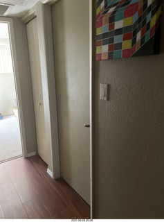 cat Potato's room door closed