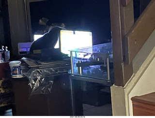 cat Potato at my house