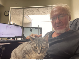 cats Max, Devin, and Potato