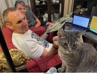 cats Jane and Potato