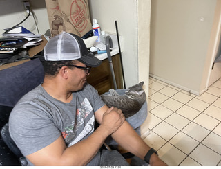 cat Potato on my desk