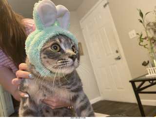 Potato with rabbit-ears cap