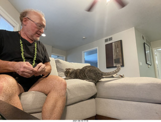 cat Potato in my computer cabinet