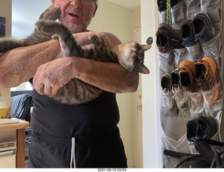 cat Potato on my hifi shelf