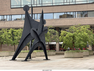 Princeton University Shapiro walk