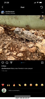 Steve Maurer and Adam (picture of picture) from MathPath