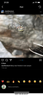 Piper won't start article