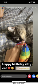 cat Potato lurking on top of my tape collection