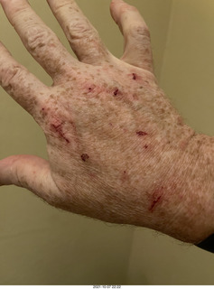 cat Potato birthday party