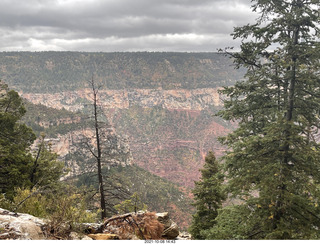 237 a18. Grand Canyon North Rim - Widforss Trail - vista view
