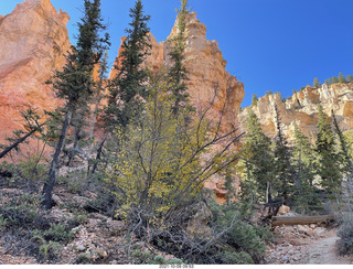 81 a18. Bryce Canyon - Peekaboo hike